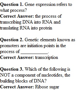 Week 10 Review Quiz